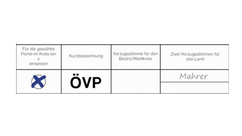 Volkspartei Ovp Sticker by Zierfuß