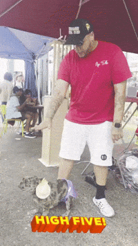 High Five Antidote GIF