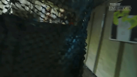 ufc giphydvr giphysports conor mcgregor mcgregor GIF