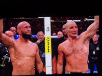 Khamzat Chimaev GIF
