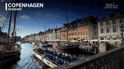 news world GIF