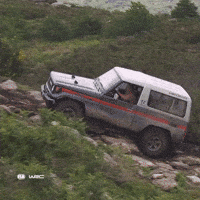Off Road Toyota GIF by FIA World Rally Championship