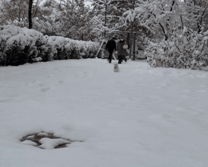 Winter Running GIF