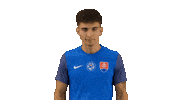 Football Celebration Sticker by Slovensky futbalovy zvaz