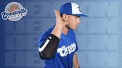 Cant Hear You Make Some Noise GIF by Evansville Otters