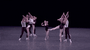 coming through lincoln center GIF by New York City Ballet