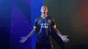 Meow Wolf Home Kit GIF by New Mexico United