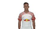 Rb Leipzig Yes Sticker by Bundesliga