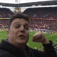 1 Fc Cologne Football GIF by 1. FC Köln