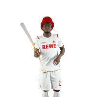 1 Fc Cologne Bundesliga Sticker by 1. FC Köln