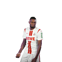 1 Fc Cologne Dancing Sticker by 1. FC Köln