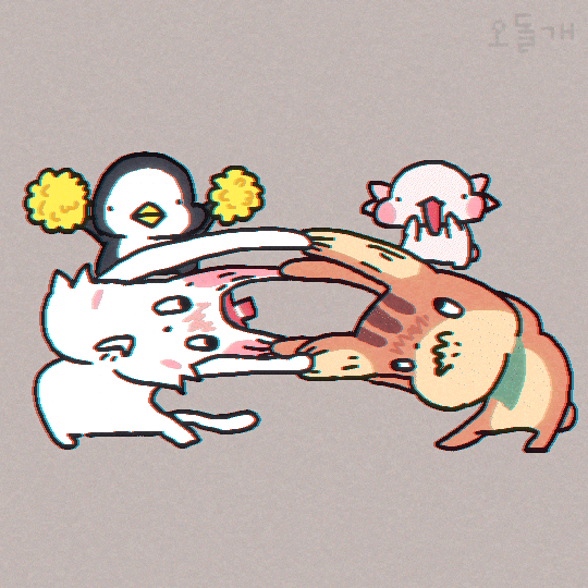 odolgae giphyupload fight 오돌개 odolgae GIF