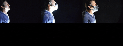 wildtortoise giphyupload mask coronavirus covid19 GIF