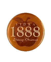 Sidra_1888 sidra sidra1888 elegiloquetegusta modo1888 Sticker