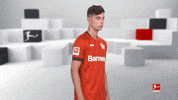 Posing Bayer 04 GIF by Bundesliga
