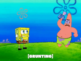 season 5 GIF by SpongeBob SquarePants