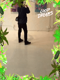 loopdreams by Loop Dreams GIF Booth