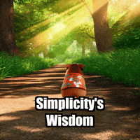 Wisdom Simplicity GIF by Guinea Gambino