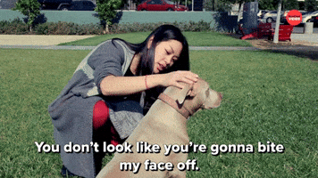 You Don't Look Like You're Gonna Bite