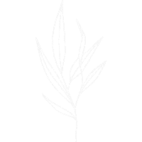 Flower Autumn Sticker by Sálvora Store