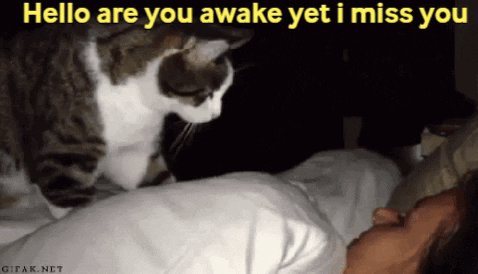 Casual_T giphygifmaker giphyattribution GIF