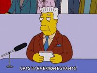 season 17 episode 6 GIF