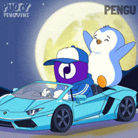 Latin America Car GIF by Pudgy Penguins