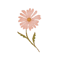 laurajoydesign flower daisy flowerpower flowerdrawing Sticker