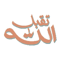 Allah Notnorrah Sticker