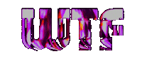Art Wtf Sticker