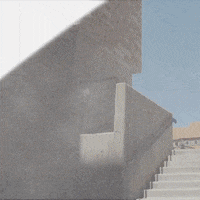 parkour freerunning GIF by MÜV Magazine