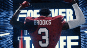 College Football GIF by gamecocksonline