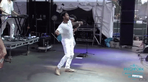 pitchfork music festival GIF by Pitchfork