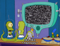 homer simpson television GIF