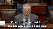 Chuck Schumer Cr GIF by GIPHY News