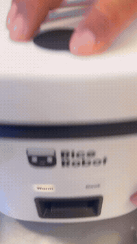 Cookie Dough. Yes, In This. | Rice Robot