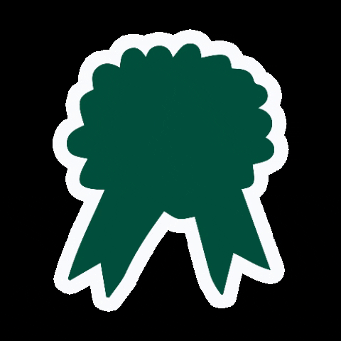 helixsleep certified birch GIF