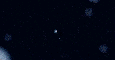 Universe Cosmos GIF by stake.fish
