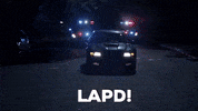 Rookie GIF by ABC Network
