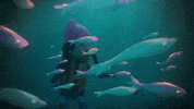 coldplay girl life sea sky GIF