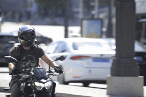 giphygifmaker nikon z8 GIF