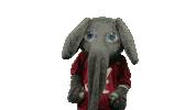 Alabama Football Ua Sticker by The University of Alabama