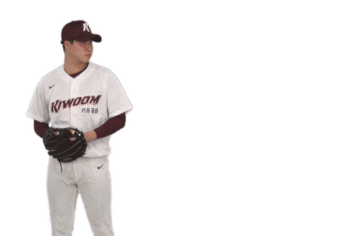 키움히어로즈 Sticker by Kiwoom Heroes Baseball Club