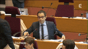 benoit hamon GIF by franceinfo