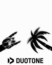 duotone_kiteboarding palm tree kitesurfing kiteboarding stoke GIF