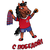 Winner Win Sticker by FC SKA