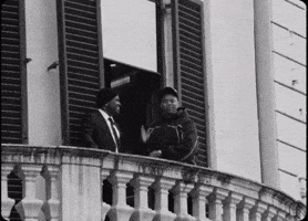 Prince George Pg GIF by IDK