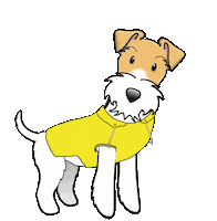 Wire Fox Terrier Coat Sticker