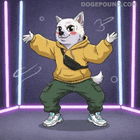Happy Lets Go GIF by Doge Pound