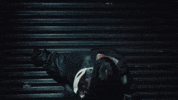 Crank Long Hair GIF by brazz.inc